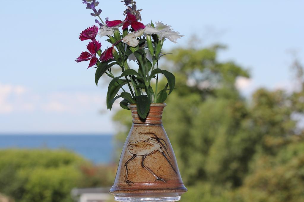 Hotel Zum Strandlaufer Ahrenshoop Rom bilde