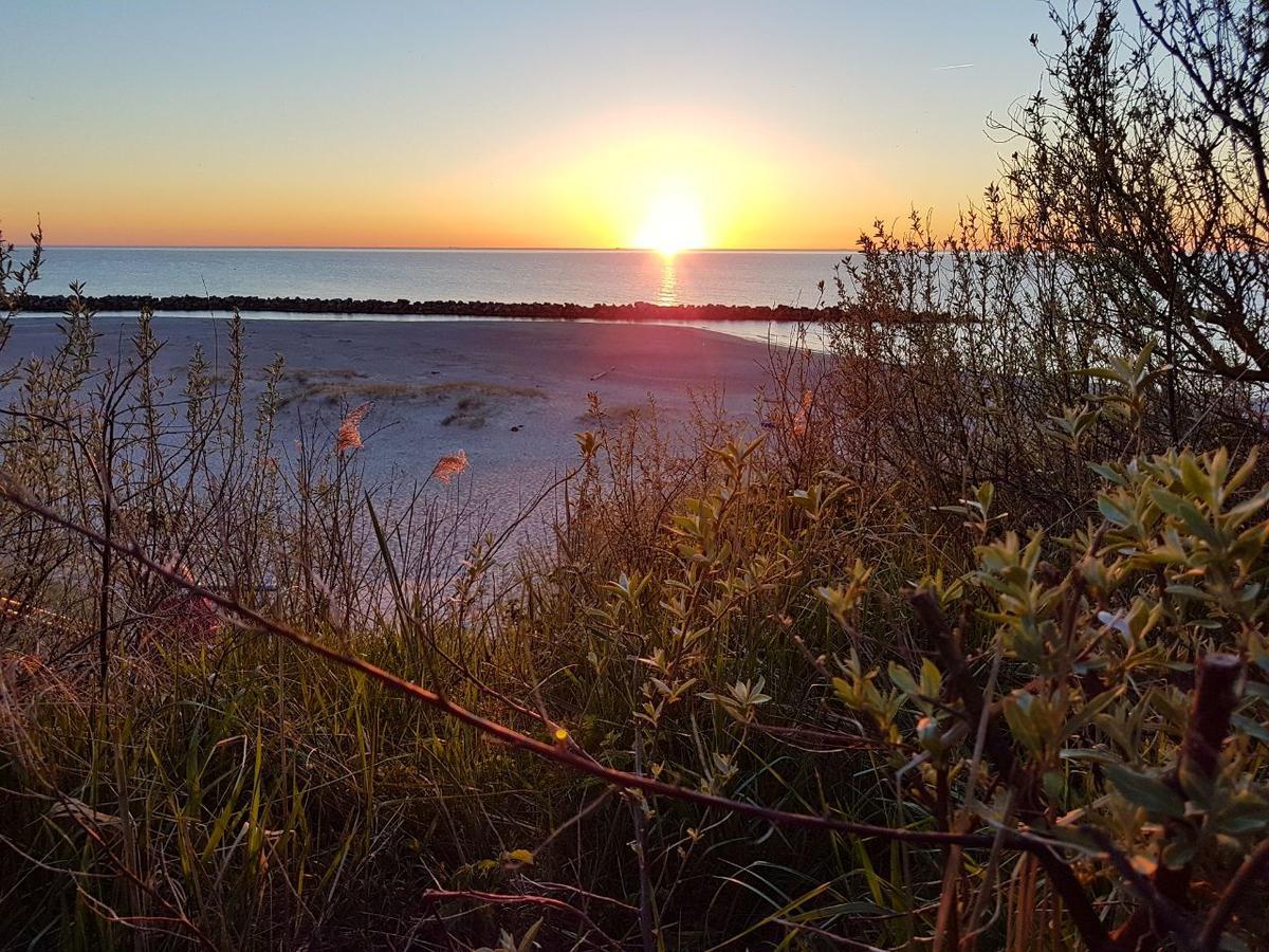 Hotel Zum Strandlaufer Ahrenshoop Eksteriør bilde